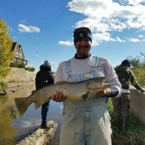 Meet your Posher, Matt